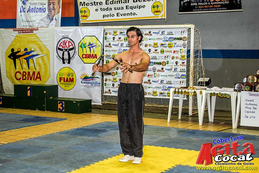Campeonato Internacional de Artes Marciais (1/2)