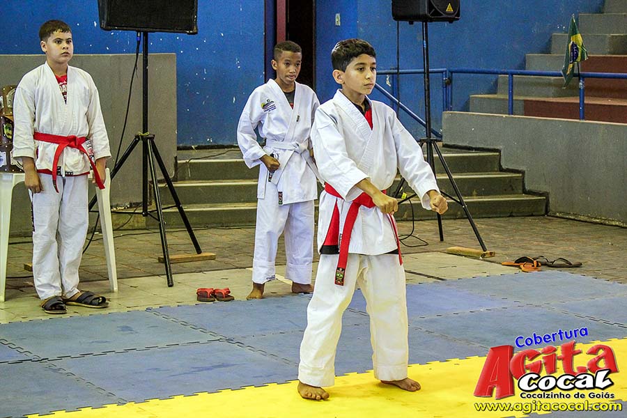 Campeonato Internacional de Artes Marciais (1/2)