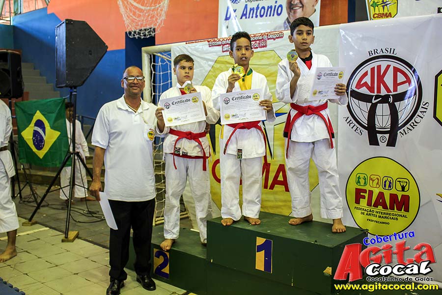 Campeonato Internacional de Artes Marciais (1/2)