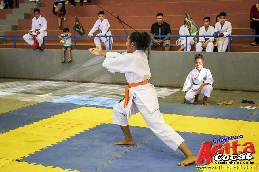 Campeonato Internacional de Artes Marciais (1/2)