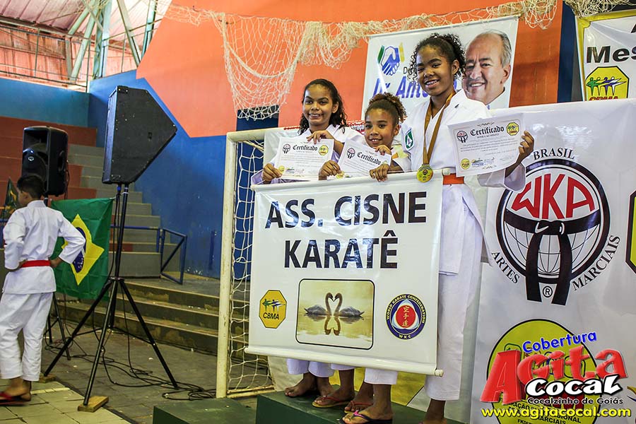 Campeonato Internacional de Artes Marciais (1/2)