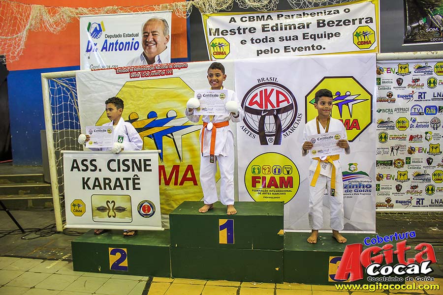 Campeonato Internacional de Artes Marciais (1/2)