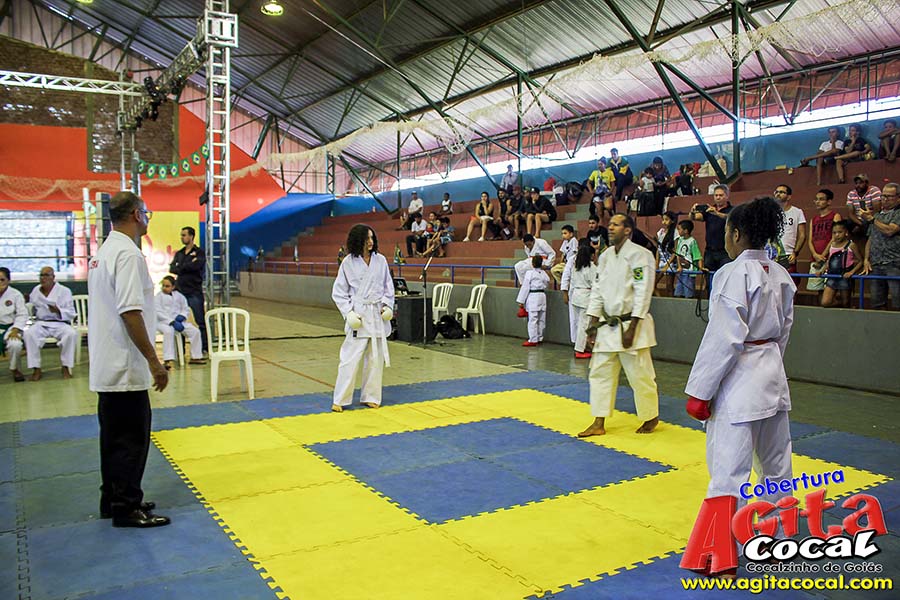 Campeonato Internacional de Artes Marciais (1/2)