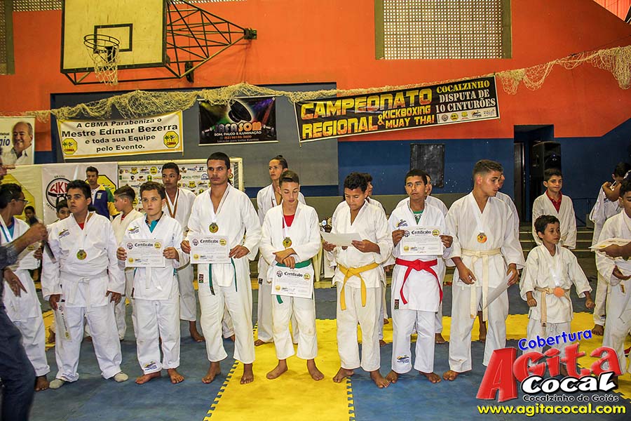 Campeonato Internacional de Artes Marciais (1/2)