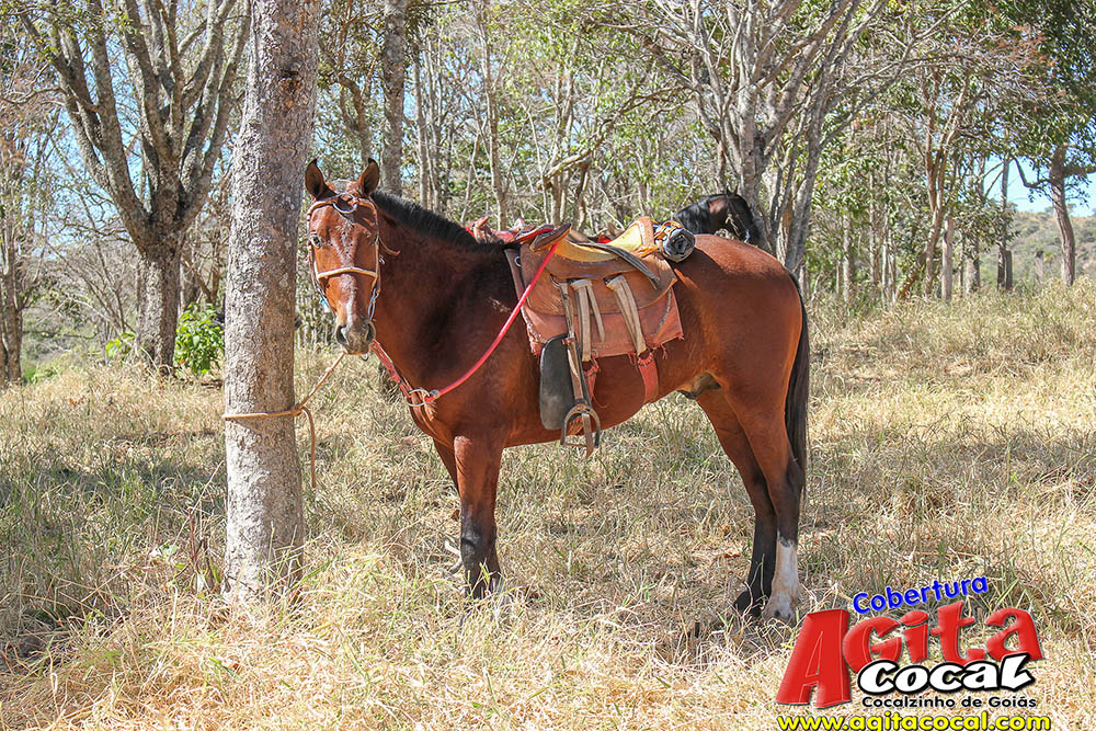 (III Cavalgada - Concentrao)