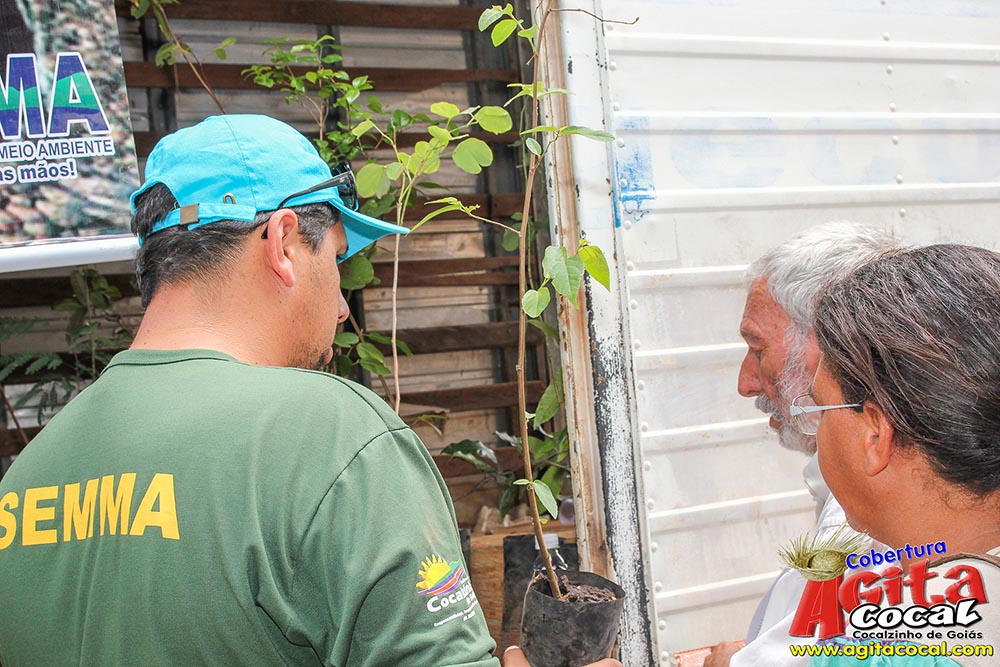 3 Arrai St Felicidade (1/2)