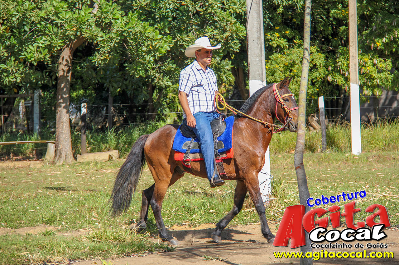 Cavalgada da Famlia (Festa em Louvor  Santo Antnio - 8 Dia)