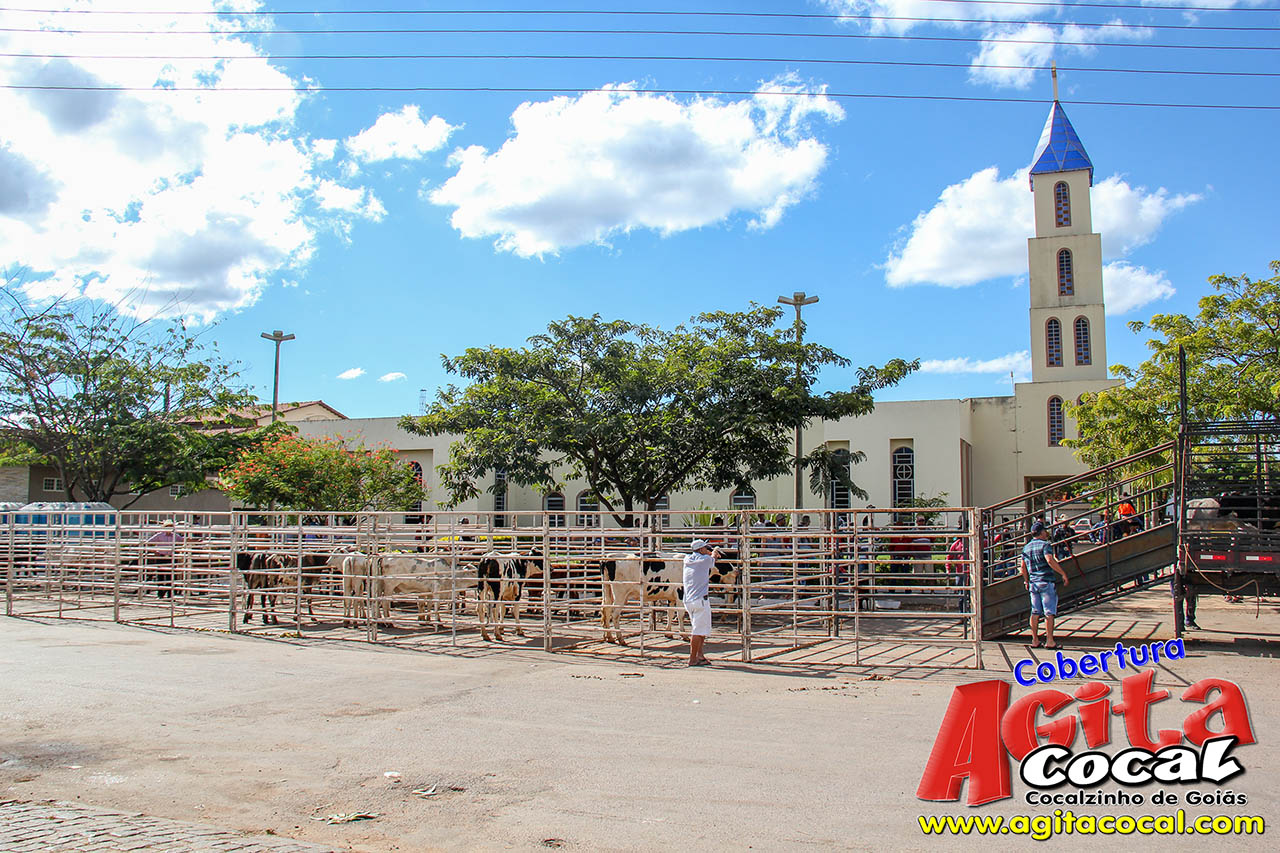 Almoo e Leilo de Animais - Festa de Santo Antnio (8 Dia)