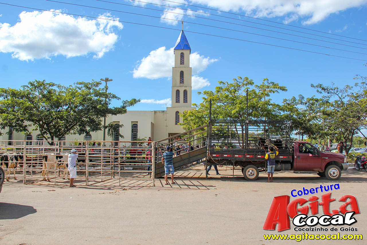 Almoo e Leilo de Animais - Festa de Santo Antnio (8 Dia)