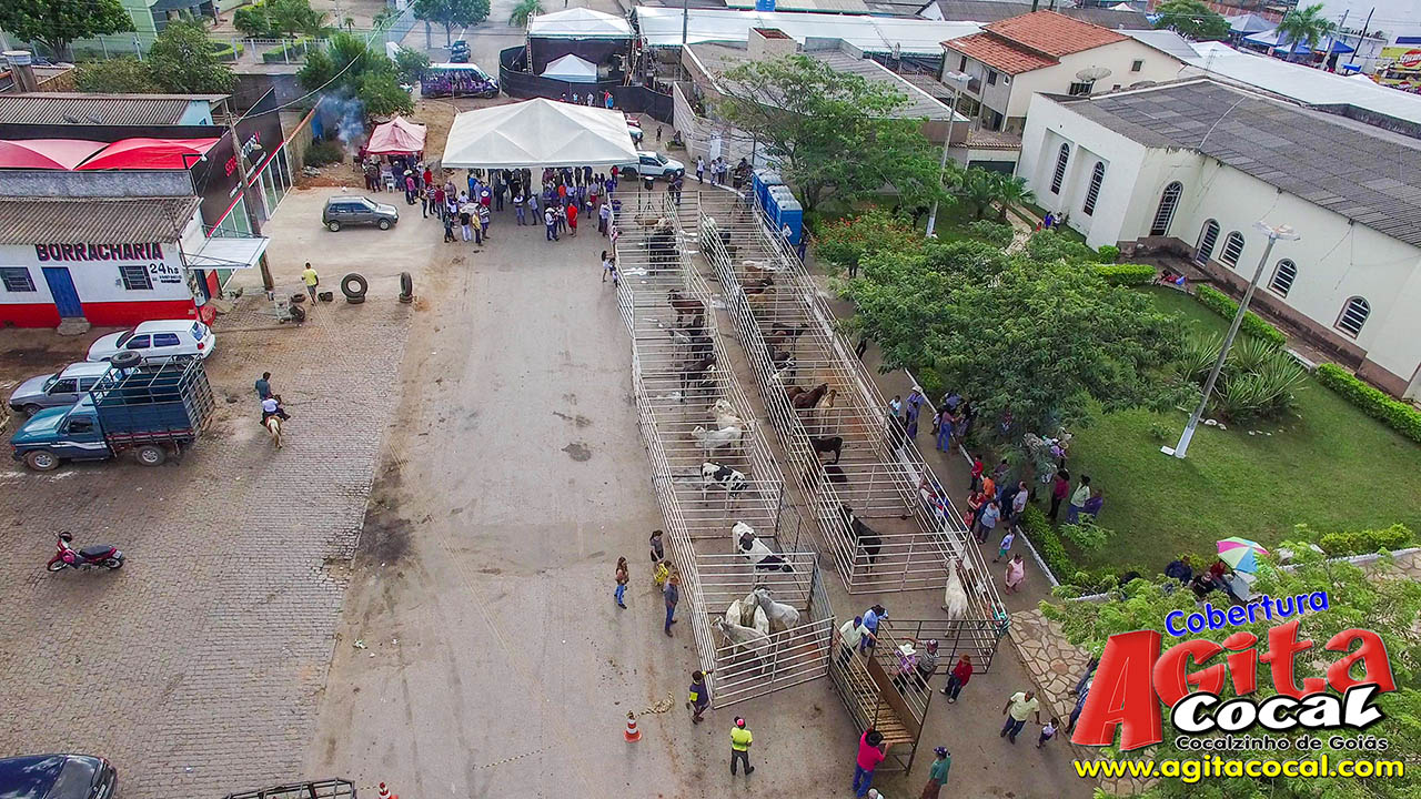 Almoo e Leilo de Animais - Festa de Santo Antnio (8 Dia)