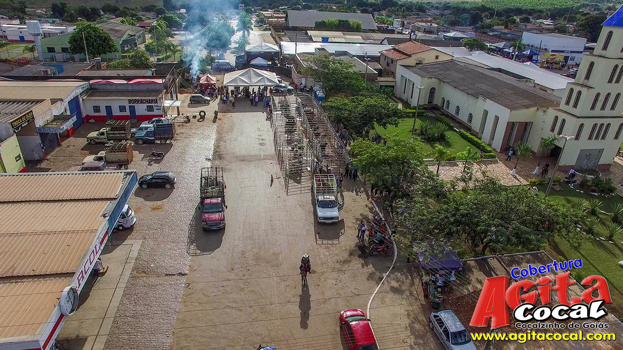 Almoo e Leilo de Animais - Festa de Santo Antnio (8 Dia)