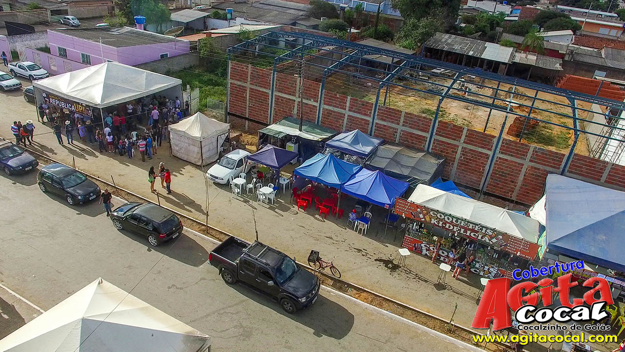 Almoo e Leilo de Animais - Festa de Santo Antnio (8 Dia)