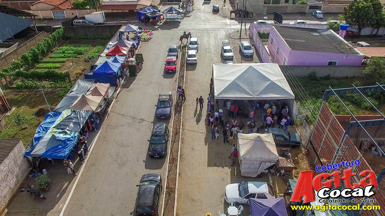 Almoo e Leilo de Animais - Festa de Santo Antnio (8 Dia)
