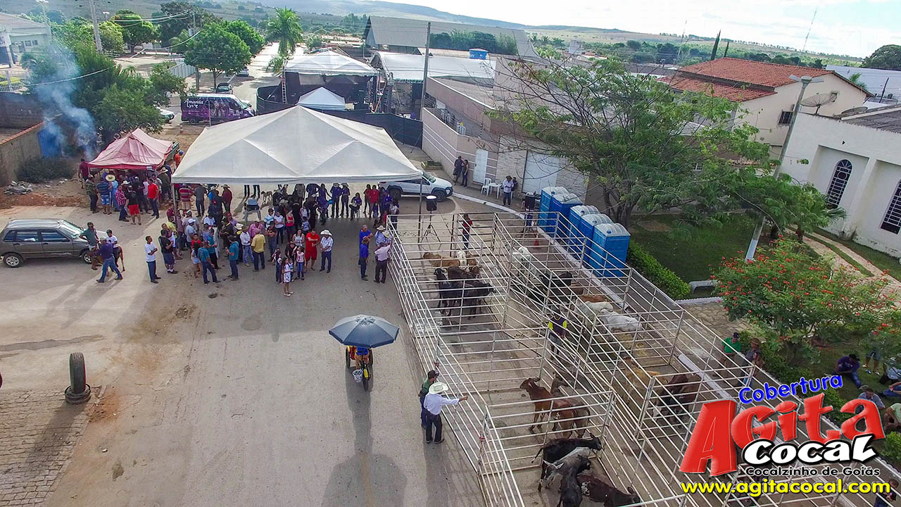 Almoo e Leilo de Animais - Festa de Santo Antnio (8 Dia)