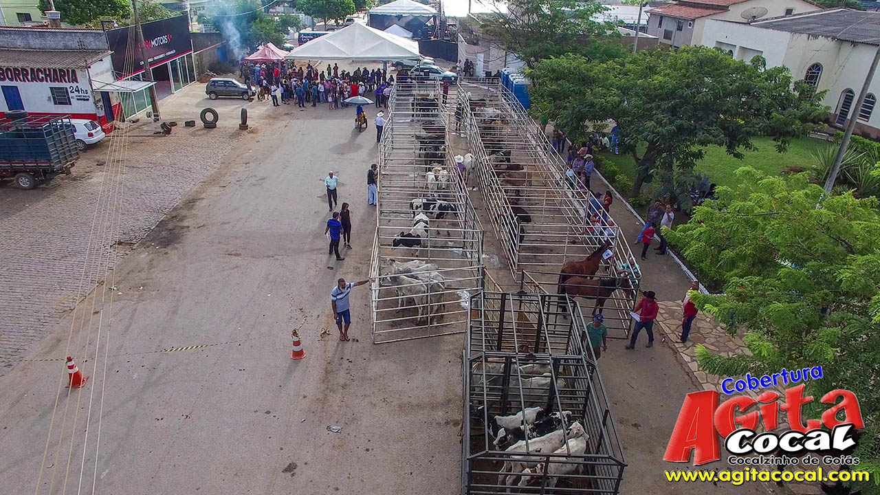 Almoo e Leilo de Animais - Festa de Santo Antnio (8 Dia)