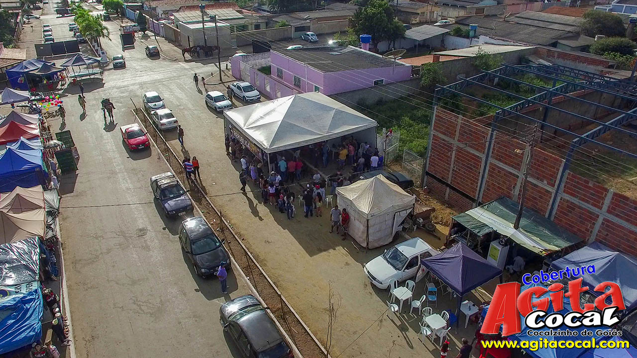 Almoo e Leilo de Animais - Festa de Santo Antnio (8 Dia)