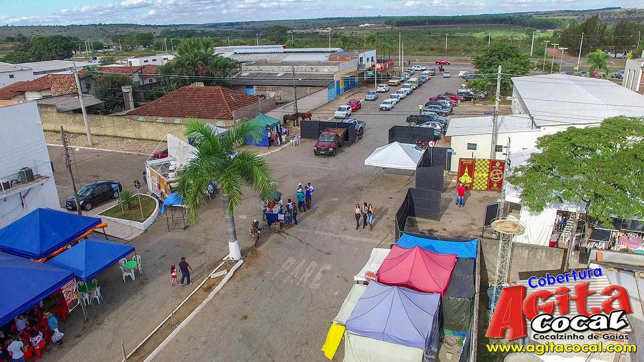 Almoo e Leilo de Animais - Festa de Santo Antnio (8 Dia)