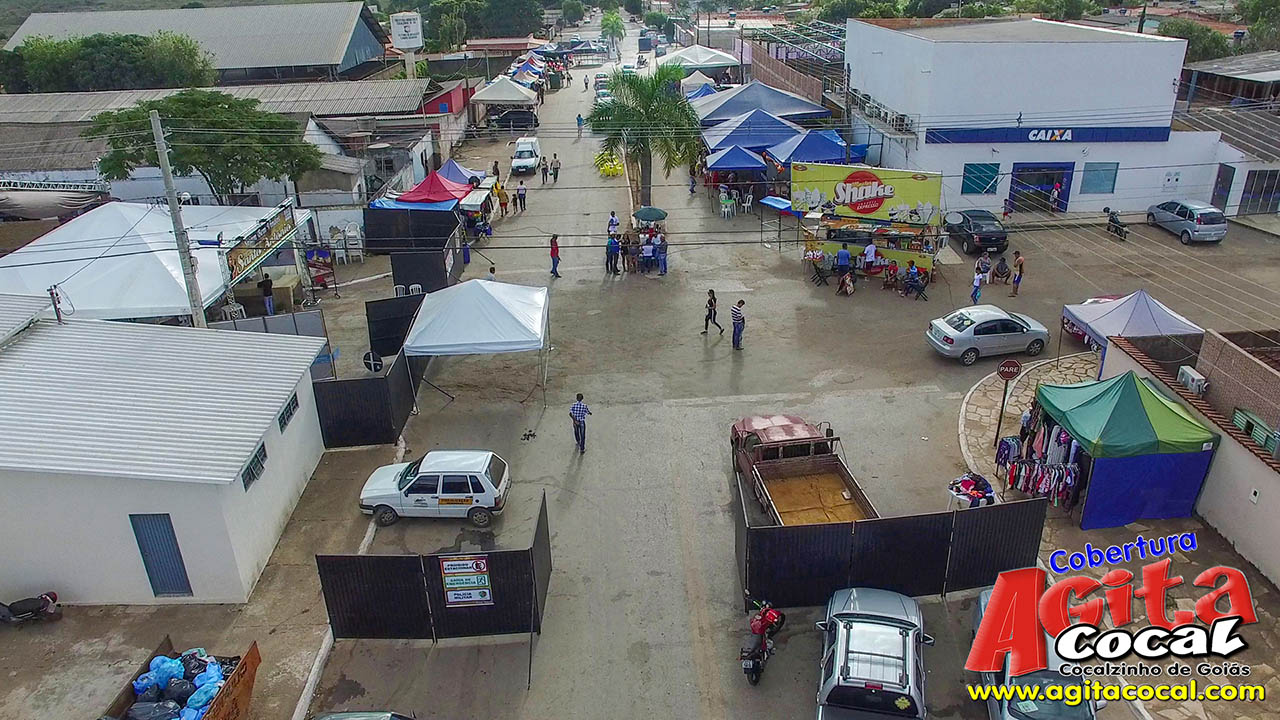 Almoo e Leilo de Animais - Festa de Santo Antnio (8 Dia)