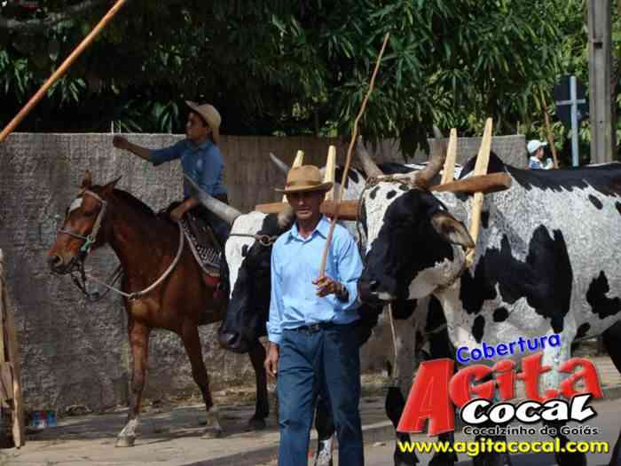 Festa de St Antnio (Carros de Bois e Jeepeata)