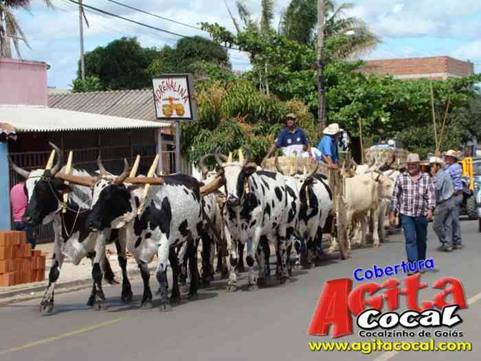 Festa de St Antnio (Carros de Bois e Jeepeata)