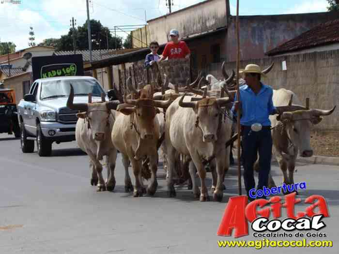 Festa de St Antnio (Carros de Bois e Jeepeata)