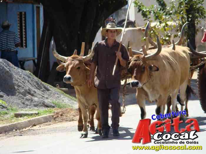 Festa de St Antnio (Carros de Bois e Jeepeata)