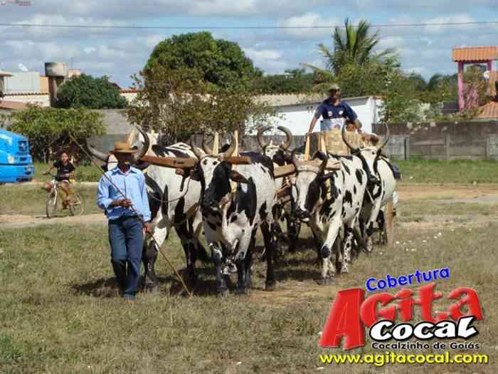 Festa de St Antnio (Carros de Bois e Jeepeata)