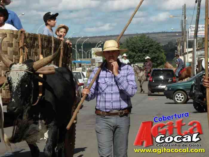 Festa de St Antnio (Carros de Bois e Jeepeata)