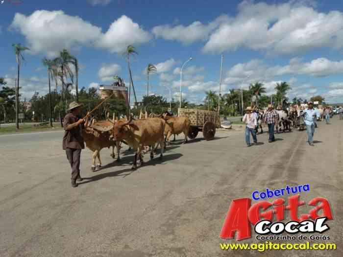 Festa de St Antnio (Carros de Bois e Jeepeata)