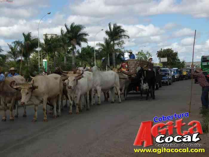 Festa de St Antnio (Carros de Bois e Jeepeata)