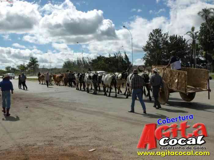 Festa de St Antnio (Carros de Bois e Jeepeata)