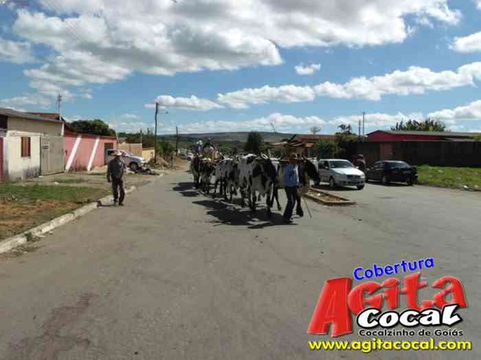 Festa de St Antnio (Carros de Bois e Jeepeata)