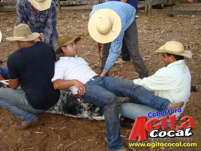 Festa de St Antnio (Arrumando os Bois do Leilo)