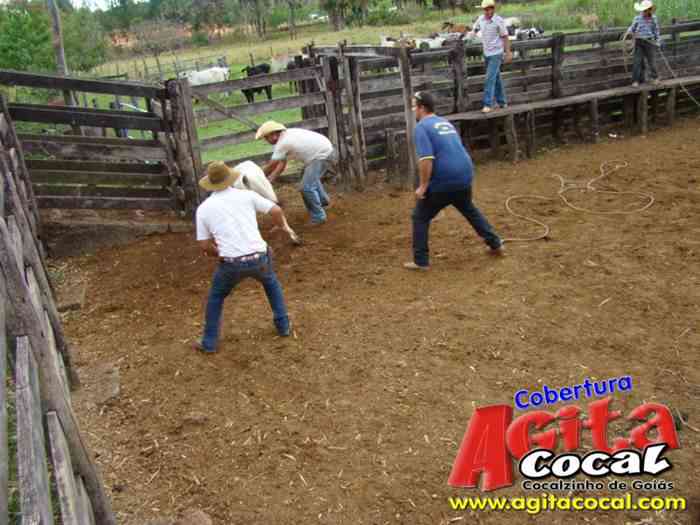 Festa de St Antnio (Arrumando os Bois do Leilo)