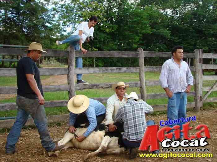 Festa de St Antnio (Arrumando os Bois do Leilo)