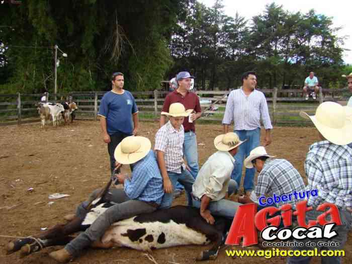 Festa de St Antnio (Arrumando os Bois do Leilo)