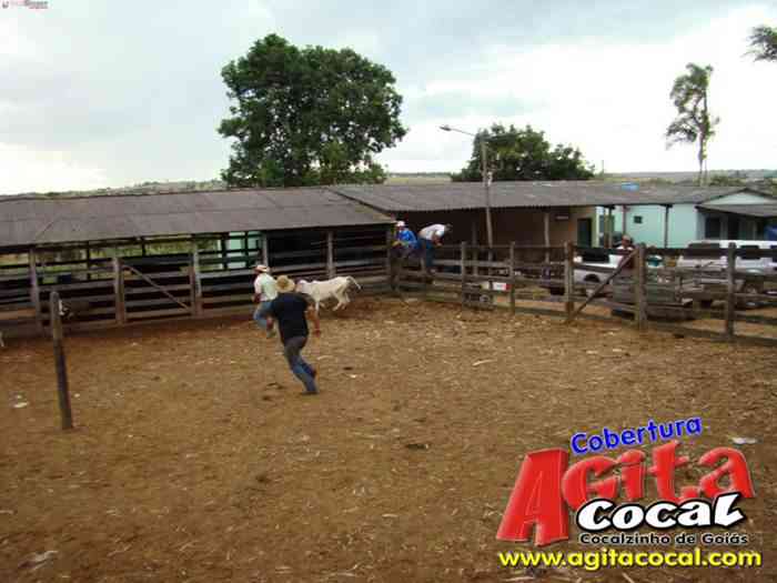 Festa de St Antnio (Arrumando os Bois do Leilo)