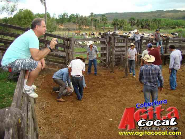 Festa de St Antnio (Arrumando os Bois do Leilo)