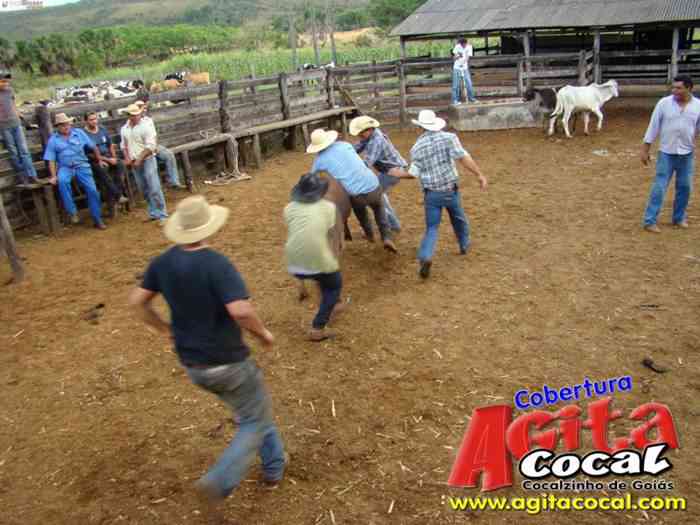 Festa de St Antnio (Arrumando os Bois do Leilo)