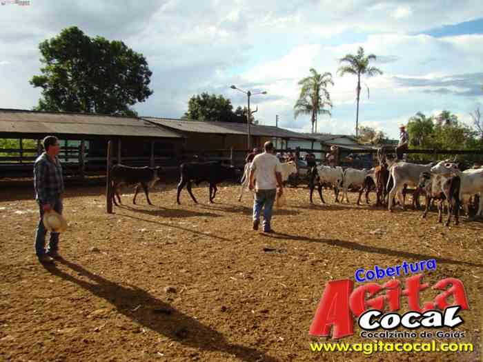 Festa de St Antnio (Arrumando os Bois do Leilo)