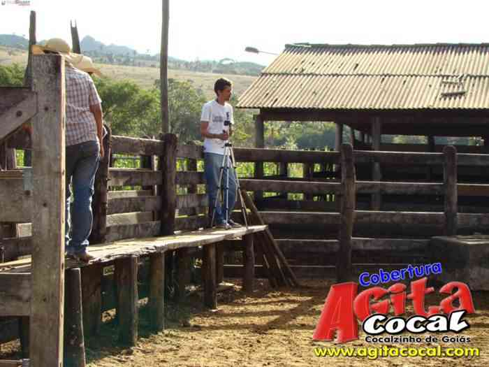 Festa de St Antnio (Arrumando os Bois do Leilo)
