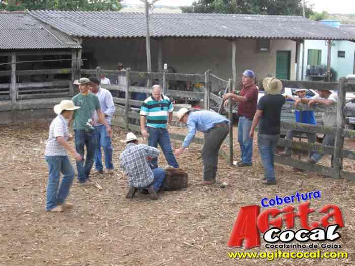 Festa de St Antnio (Arrumando os Bois do Leilo)
