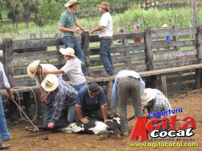 Festa de St Antnio (Arrumando os Bois do Leilo)