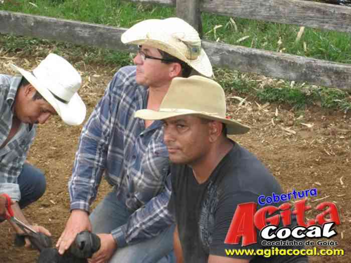 Festa de St Antnio (Arrumando os Bois do Leilo)