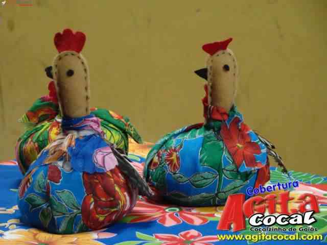Arrai do Colgio Tiago Vidal
