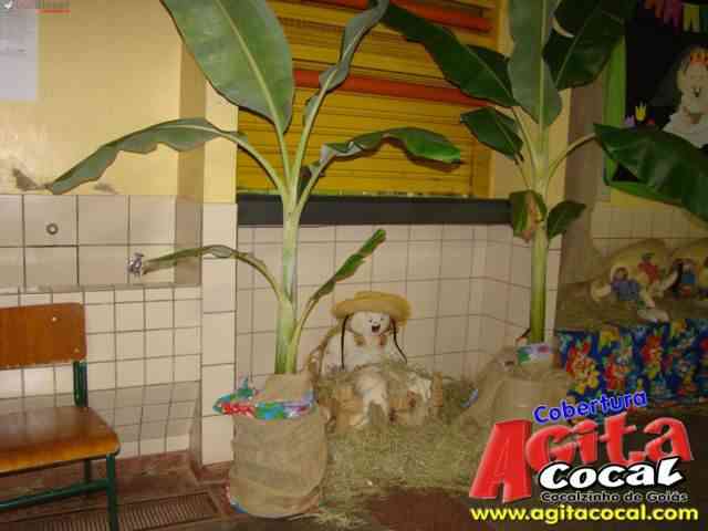 Arrai do Colgio Tiago Vidal
