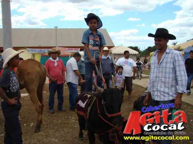 Cavalgada (23 Aniversrio de Cocalzinho)