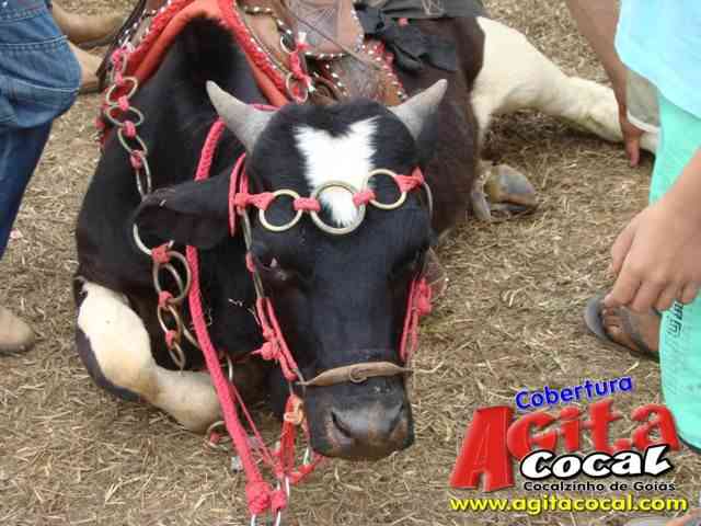 Cavalgada (23 Aniversrio de Cocalzinho)
