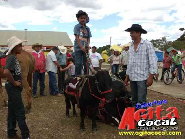 Cavalgada (23 Aniversrio de Cocalzinho)